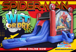 Spiderman Deluxe Bounce & Slide