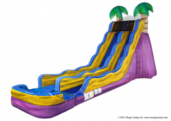 20' Tropical Blast Dual Lane Dry Slide